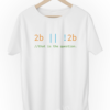 To-Be-Or-Not-To-Be-2b-Programmer-geek-coding-developer-linux-coder-white-t-shirts